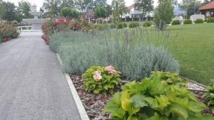 JAVNE POVRŠINE - PARK TEPANJE